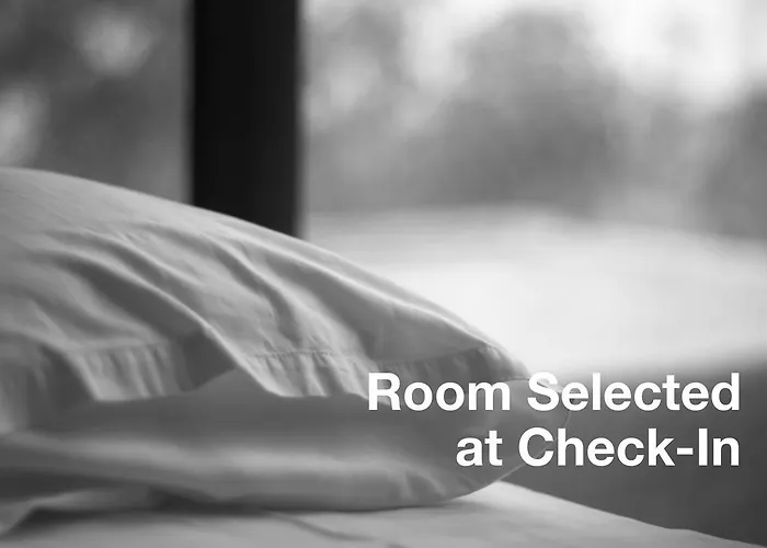 Hotel 3 stelle: Hotel Albion